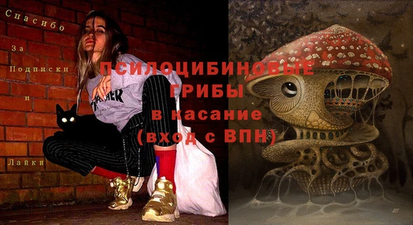 не бодяженный Аркадак