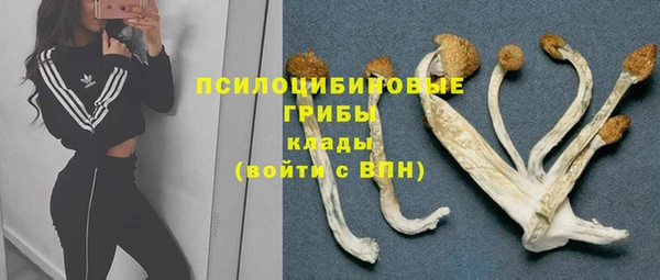не бодяженный Аркадак